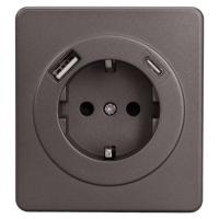 Миле Раунд титан механизм розетки скрытая 1-мест заземление USB IP20 