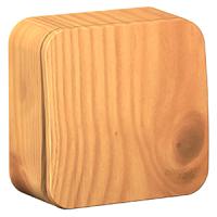 Бланка переключатель открытая ясень 1кл 10А IP20 