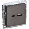 Брайт бронза розетка USB A+C скрытая 2-ая 