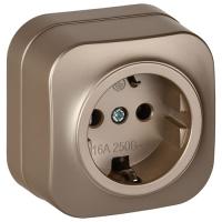 Глори шампань розетка открытая 1-мест заземление IP20 