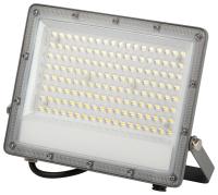 Прожектор свд 100Вт 6500К 10000лм серый IP65 90° ЭРА PRO LPR-063