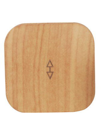 Глори сосна переключатель 1кл открытая 10А IP20 